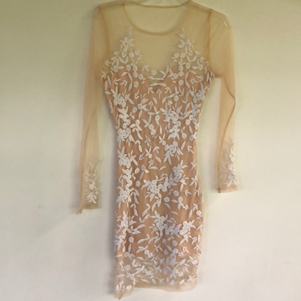 Mesh Nude & White Lace Dress